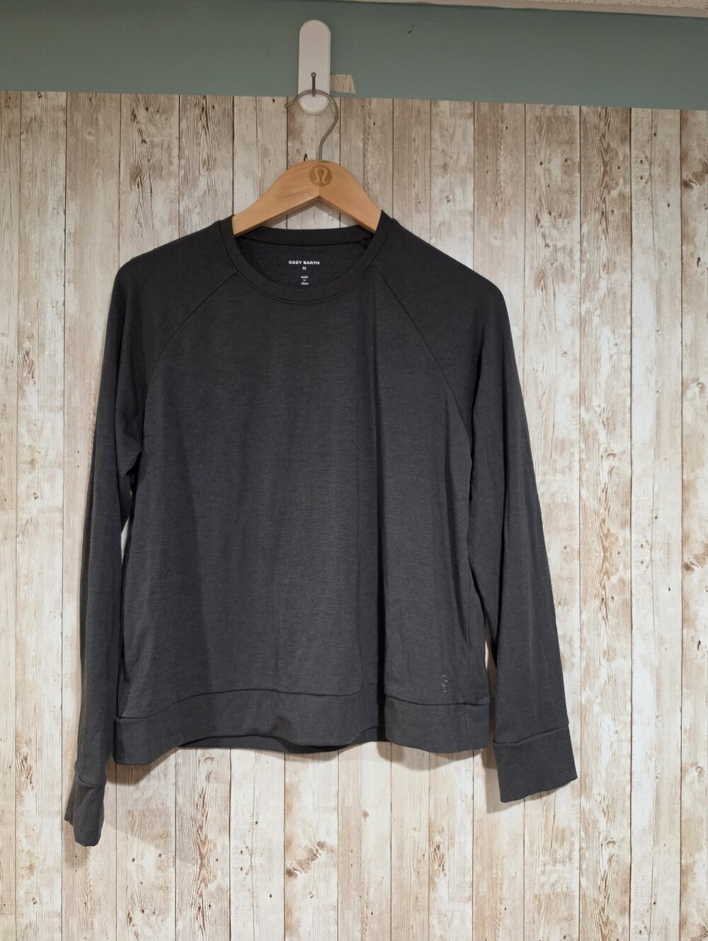 Cozy Earth Bamboo Pullover Sweatshirt Womens M Gray Raglan Long Sleeve Top